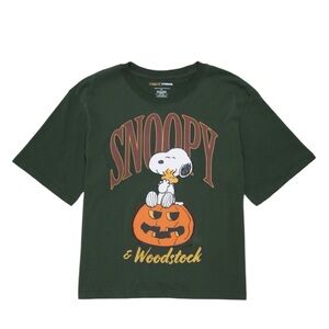 RSQ x Peanuts Snoopy & Woodstock Together Boxy Tee - medium